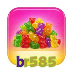 br585